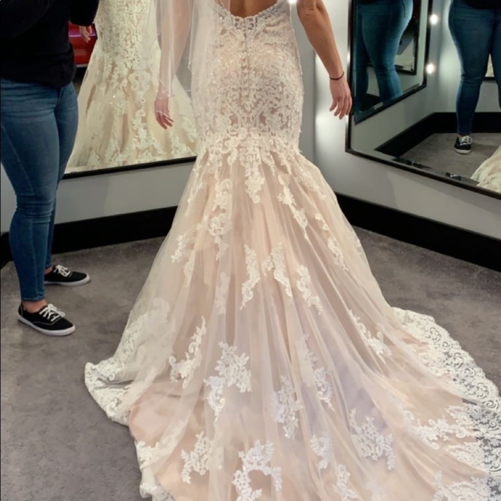 Beautiful wedding dress, champagne underneath with lace and sparkle overlay. - Picture 6 of 12